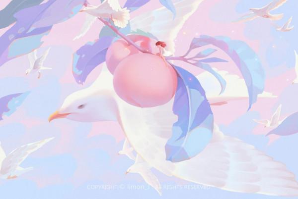 杜鵑丨自由旅行的造夢師