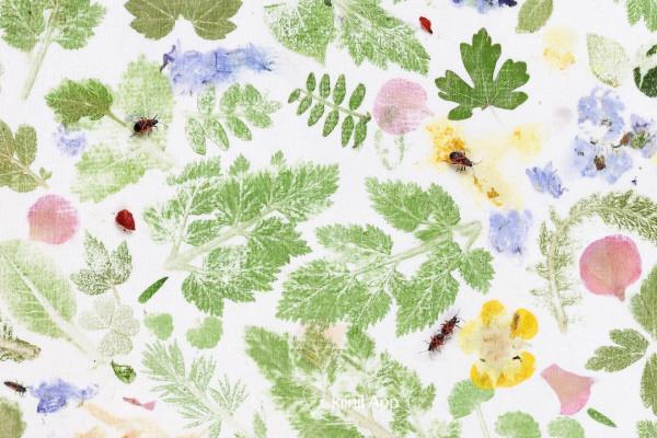 留住自然的色彩和圖案,有趣有料的植物拓印 留住自然的色彩和圖案,有趣有料的植物拓印