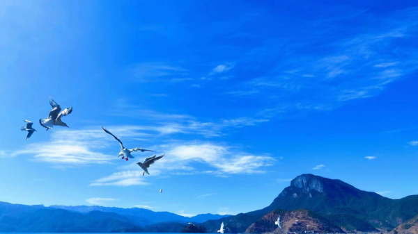 快來，瀘沽湖的冬日精靈，想和你交個朋友！