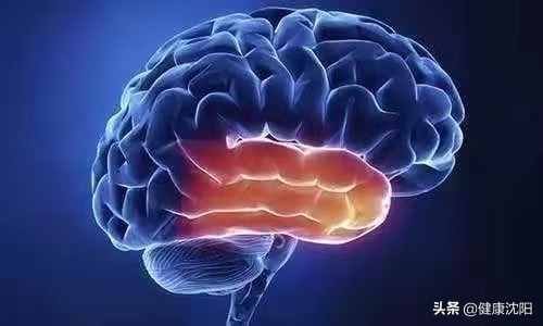 世界卒中日 | 秋冬季預防腦卒中策略