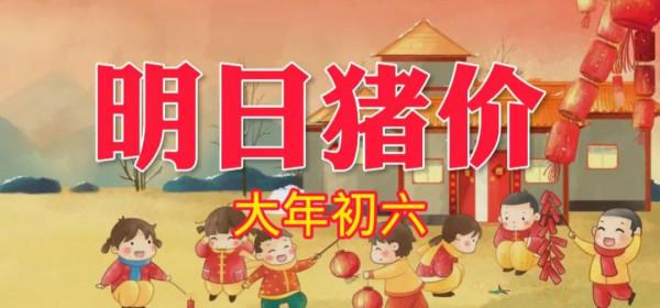 「明日豬價」 2月6日大年初六豬價：繼續上漲