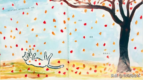 貓咪主題繪本推薦｜和孩子一同開啟喵星人的世界