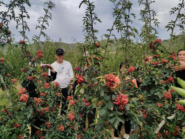 專家預測今年是個冷冬,有人說冬天都來了春天還會遠嗎? 專家預測今年是個冷冬,有人說冬天都來了春天還會遠嗎?
