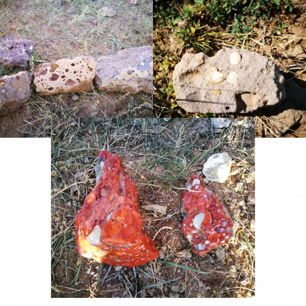 撿瑪瑙,來內蒙古火山草原,讓你撿得不想回家 撿瑪瑙,來內蒙古火山草原,讓你撿得不想回家