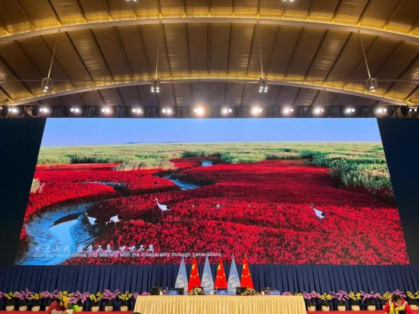 cop15大會展館免費開放