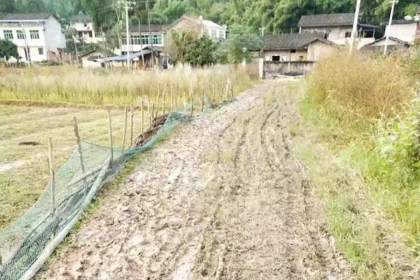 注意：除了村村通後村民不用再花錢外，還有以下4點變化