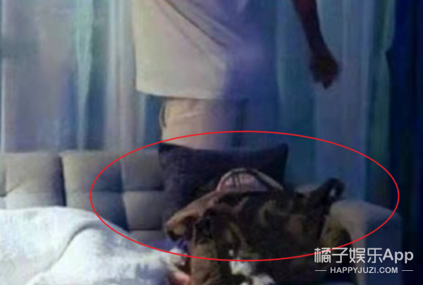 朱正廷年紀輕輕就脫髮？鹿晗頂著籃球聊天，毛不易或許會隱身？