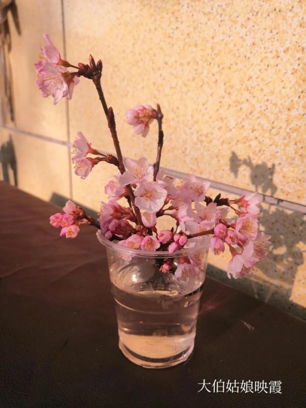 這是我長大的地方，一個座落在山頂上的小山村