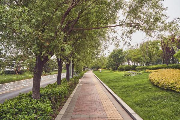 【X自駕】開寶馬5系插混，打卡秦皇島海岸，帆船、動漫任你玩