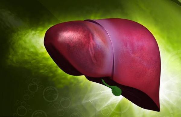 轉氨酶超出正常範圍，就是肝損傷嗎？