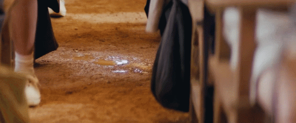 王力宏毀掉的，何止一個李靚蕾