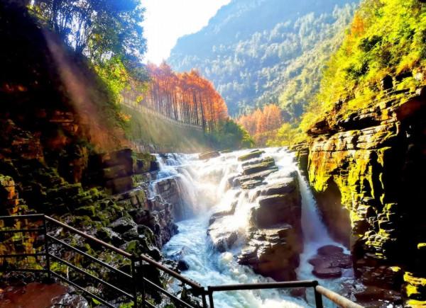 11月，看湖北，層林盡染！