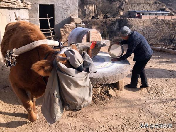 老知青為愛堅守陝北45年,終生無子女,三個侄兒主動給他養老 老知青為愛堅守陝北45年,終生無子女,三個侄兒主動給他養老