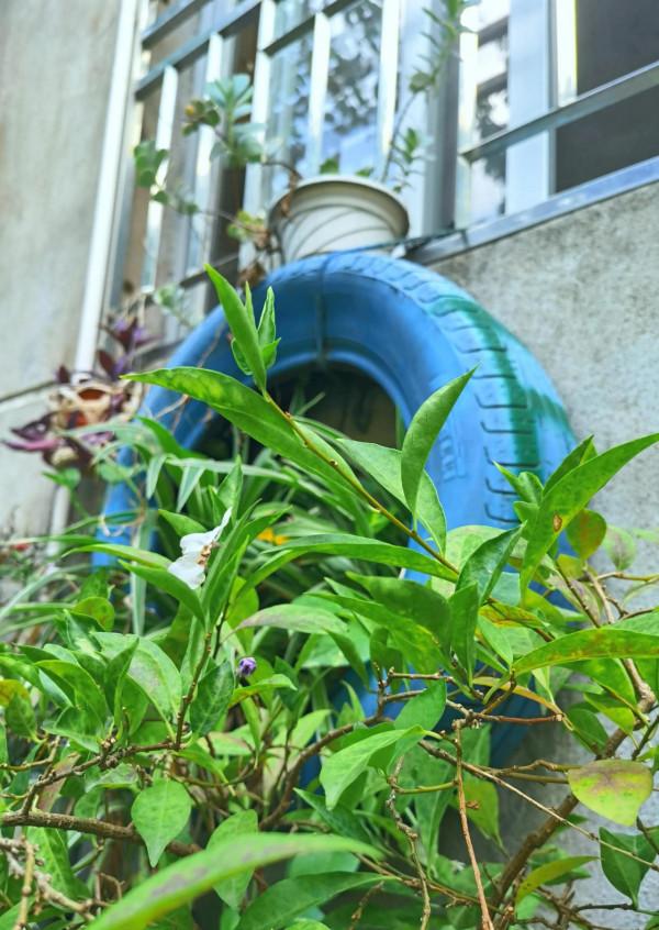 帝師之鄉、名人之鄉、學霸之鄉~螺洲古鎮 帝師之鄉、名人之鄉、學霸之鄉~螺洲古鎮