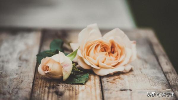 內心浮躁的你,不妨品一品季羨林的這10句話 內心浮躁的你,不妨品一品季羨林的這10句話