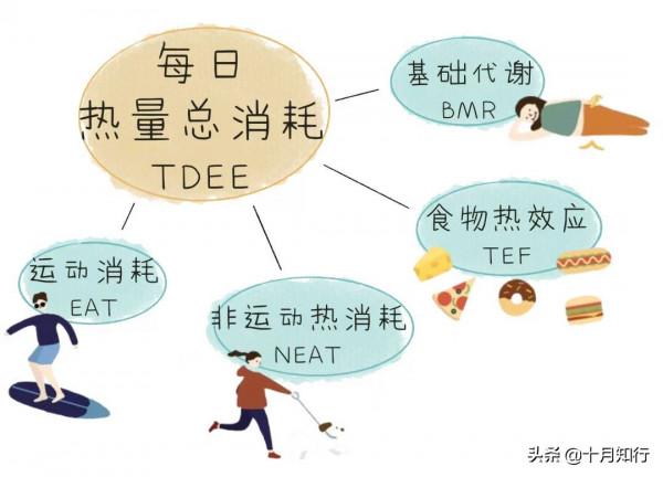 為什麼中年人容易發福，發福容易長肚子？3個建議，保持腹部平坦