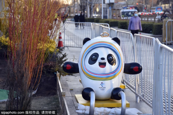 驚豔!冬奧花壇“綻放”京城,春節假期跟著花壇遊北京! 驚豔!冬奧花壇“綻放”京城,春節假期跟著花壇遊北京!