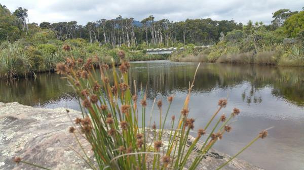 房車旅行紐西蘭完結篇含攻略~境外自駕規劃~那些不得不說的事 房車旅行紐西蘭完結篇含攻略~境外自駕規劃~那些不得不說的事