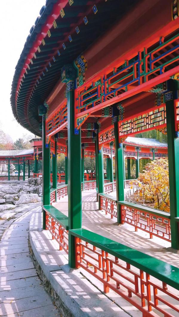 北京動物園裡意想不到的秋色 北京動物園裡意想不到的秋色