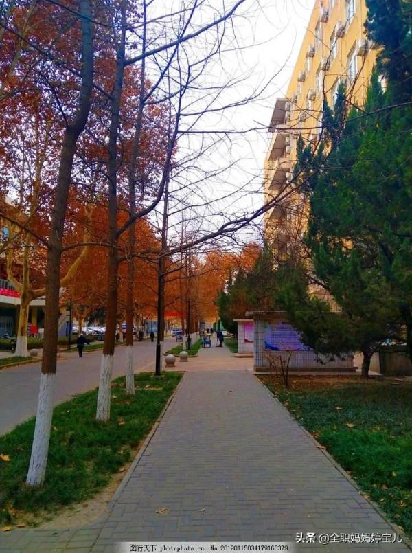 分享——美景小道