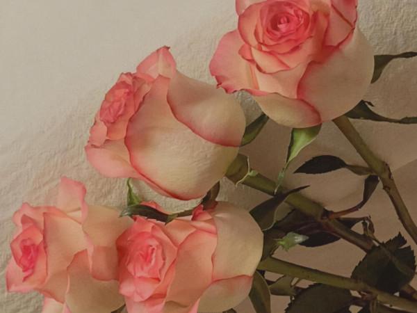 看似簡單,卻不缺乏信念,這幾個星座有稜有角,堅韌藏在骨子裡 看似簡單,卻不缺乏信念,這幾個星座有稜有角,堅韌藏在骨子裡