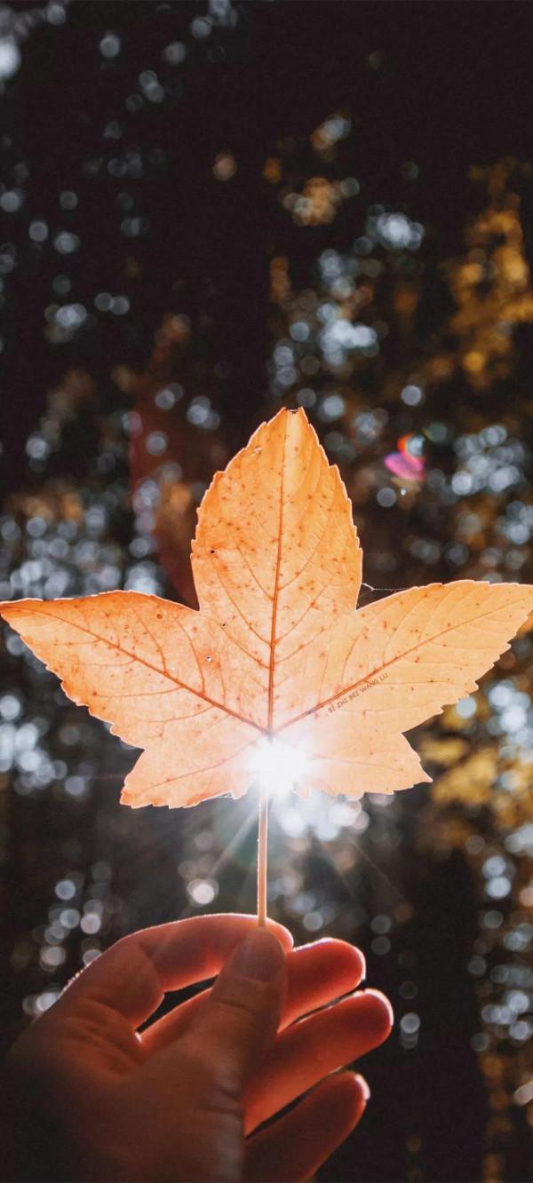 年運|傑西卡 處女座2021-2022生日運 年運|傑西卡 處女座2021-2022生日運