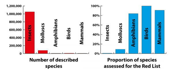 全新證據：第六次生物大滅絕正在發生&hellip;&hellip;