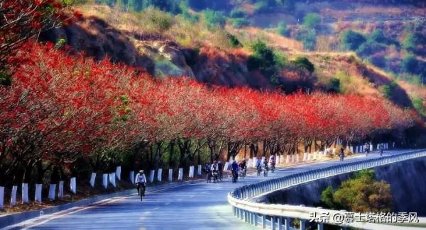 冬天避寒不一定去海南，國內這5座城市也是過冬的好地方