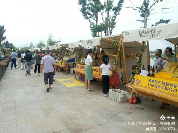 望亭運河公園美