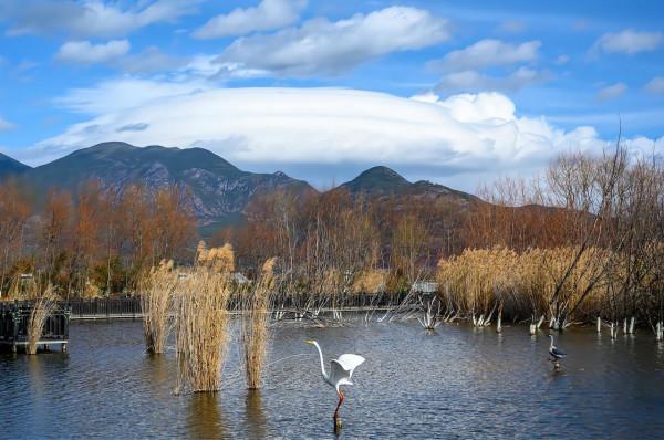 麗江小眾旅遊景點,雲南首個以“溼地”命名的保護區,景美人少 麗江小眾旅遊景點,雲南首個以“溼地”命名的保護區,景美人少