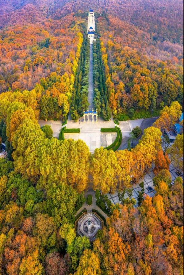 一入秋，南京就成了金陵