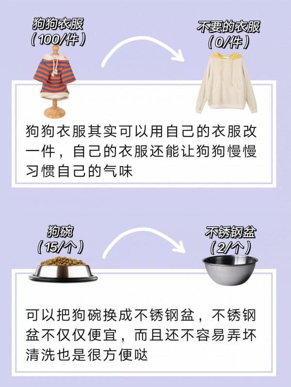 教你如何每月不超200就能精緻養狗｜養狗清單