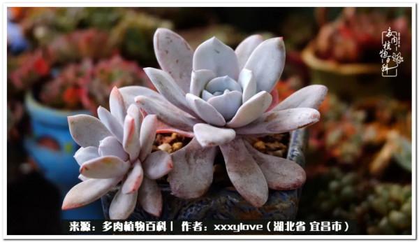 時光匆匆，一閃而逝，這世間萬物的美，都值得被記錄