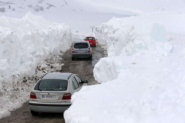 零下40℃!東北虎在冬天如何生存,“白災”為何會讓東北虎受災? 零下40℃!東北虎在冬天如何生存,“白災”為何會讓東北虎受災?