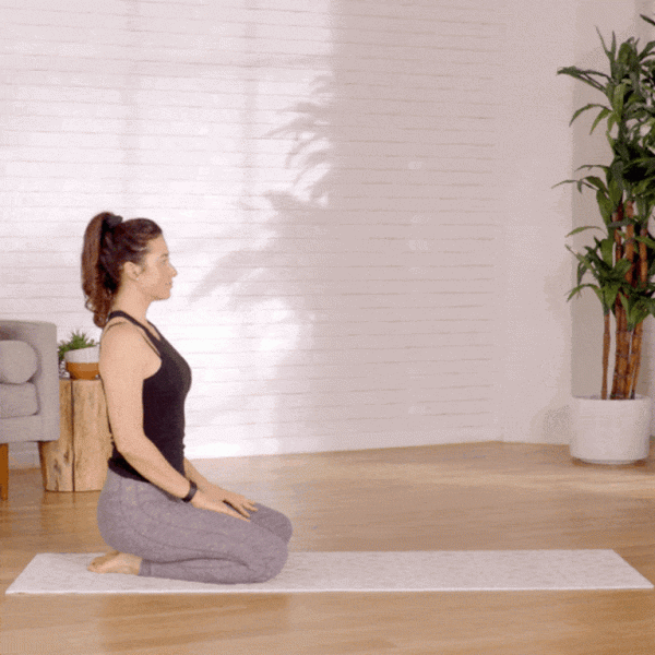 一套適合初學者的「 入門級 」瑜伽序列，建議每天練習