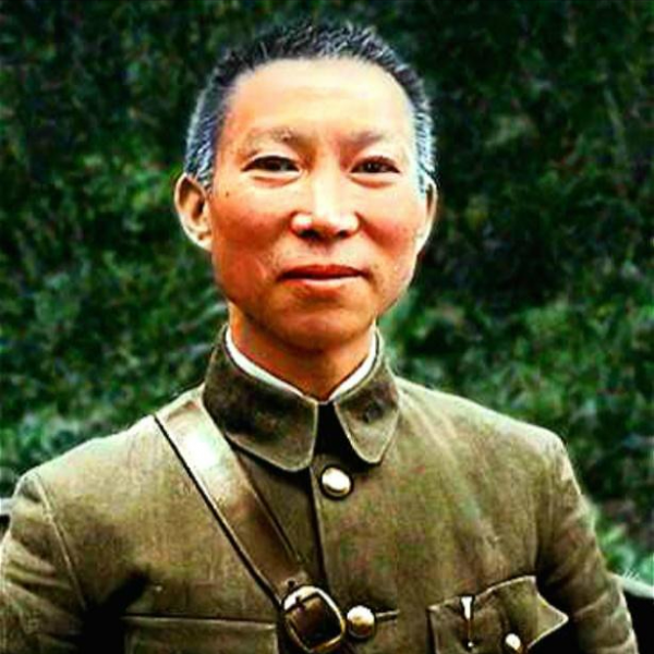 萬家嶺戰役全殲日軍一個師團，堪比臺兒莊，葉挺盛讚：永垂不朽