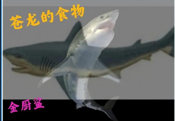 （9）眾說紛紜，那麼什麼才是真正的古代海洋霸主呢？