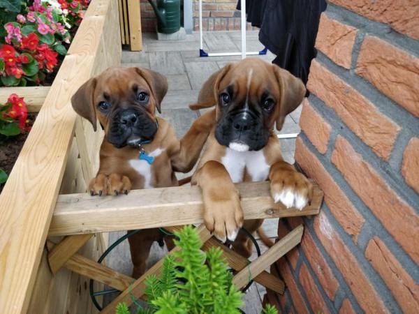 人們分享的15張照片會用可愛征服到你