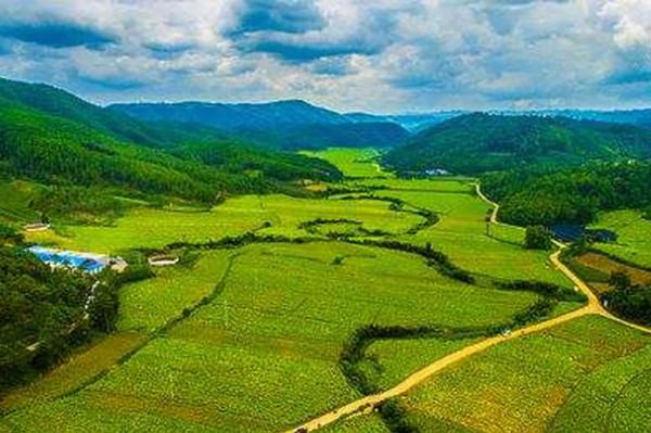 罕見！禁漁1年，長江流域驚現“江豬”為什麼“江豬”如此罕見？