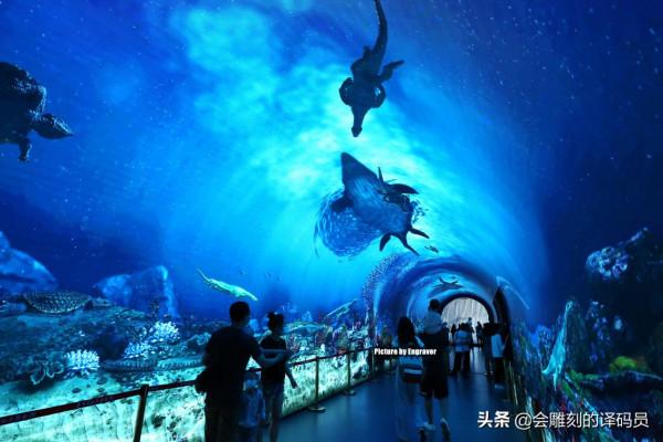 你吃過魚,但你見過“魚龍”嗎?就在我國貴州曾經就是魚龍的天堂 你吃過魚,但你見過“魚龍”嗎?就在我國貴州曾經就是魚龍的天堂