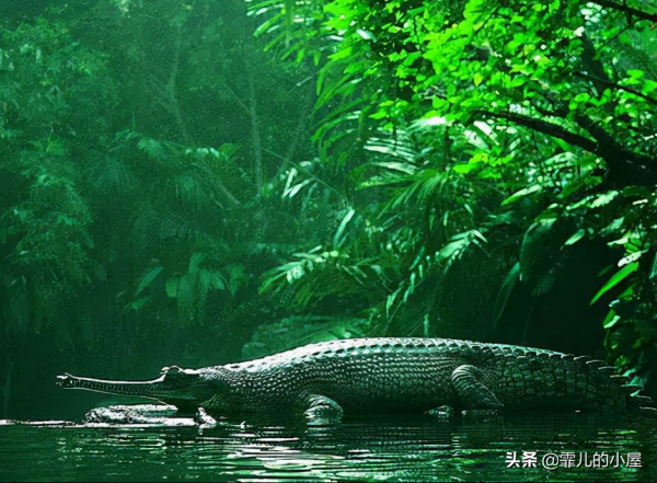 假如我們變成冷血動物會怎樣？