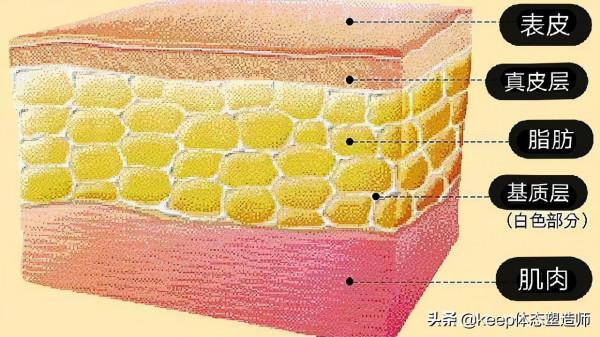 想要快速瘦身有錯嗎？想法沒錯，但要搞清楚原理，健康最重要