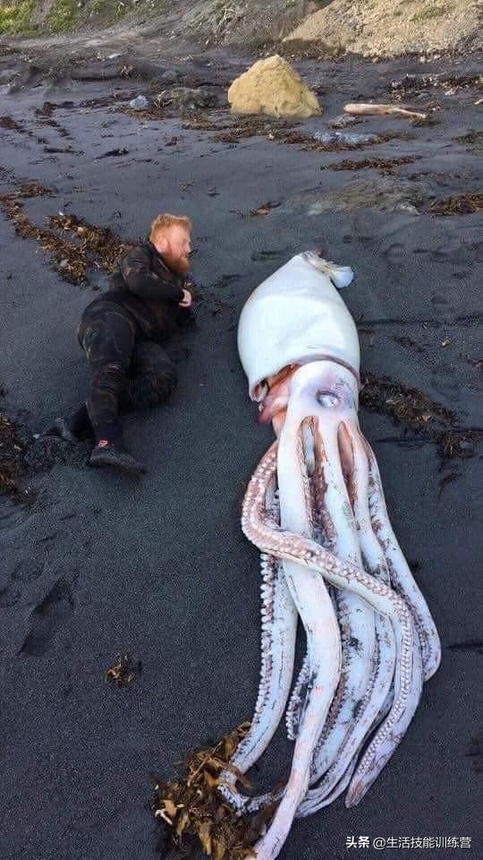 35張圖片帶我們領略大自然的狂野和美麗 35張圖片帶我們領略大自然的狂野和美麗