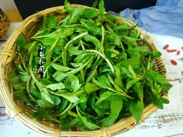 31種野菜大合集，帶你認識不同的野菜和吃法，你想要的野菜這裡有
