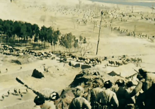 “三三制”拍出來不好看？密集衝鋒的“人海戰術”就好看了嗎？