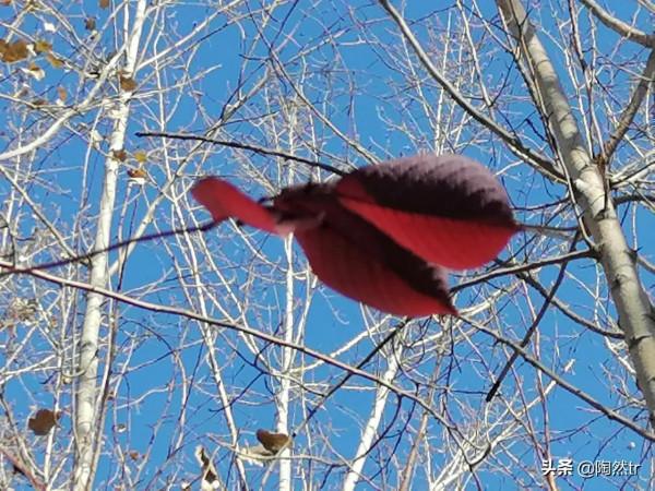 懷念不吃藥的日子！還有遇見一個好看的愛情