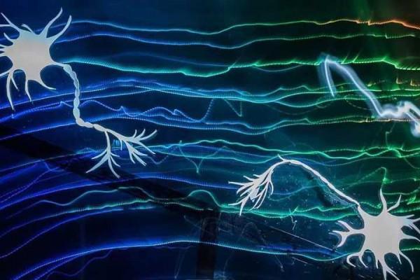 原來辣味不存在,其實它是溫度感覺!搞明白的科學家得到今年諾獎 原來辣味不存在,其實它是溫度感覺!搞明白的科學家得到今年諾獎