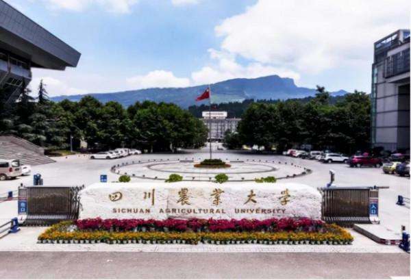 親歷中印衝突、執行特殊任務!四川12位學霸軍人:來自特種作戰旅、空軍、海軍 親歷中印衝突、執行特殊任務!四川12位學霸軍人:來自特種作戰旅、空軍、海軍