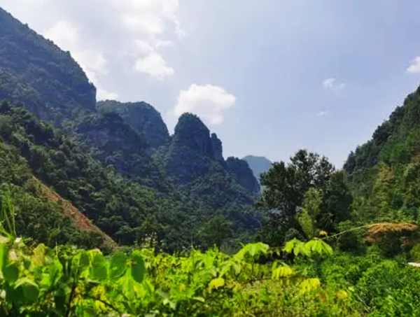 建國初期,廣西、廣東兩省匪患猖獗,陳明仁率兵將其逐個擊破 建國初期,廣西、廣東兩省匪患猖獗,陳明仁率兵將其逐個擊破