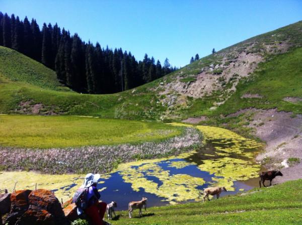 新疆十大冷門景點，人少景美好玩